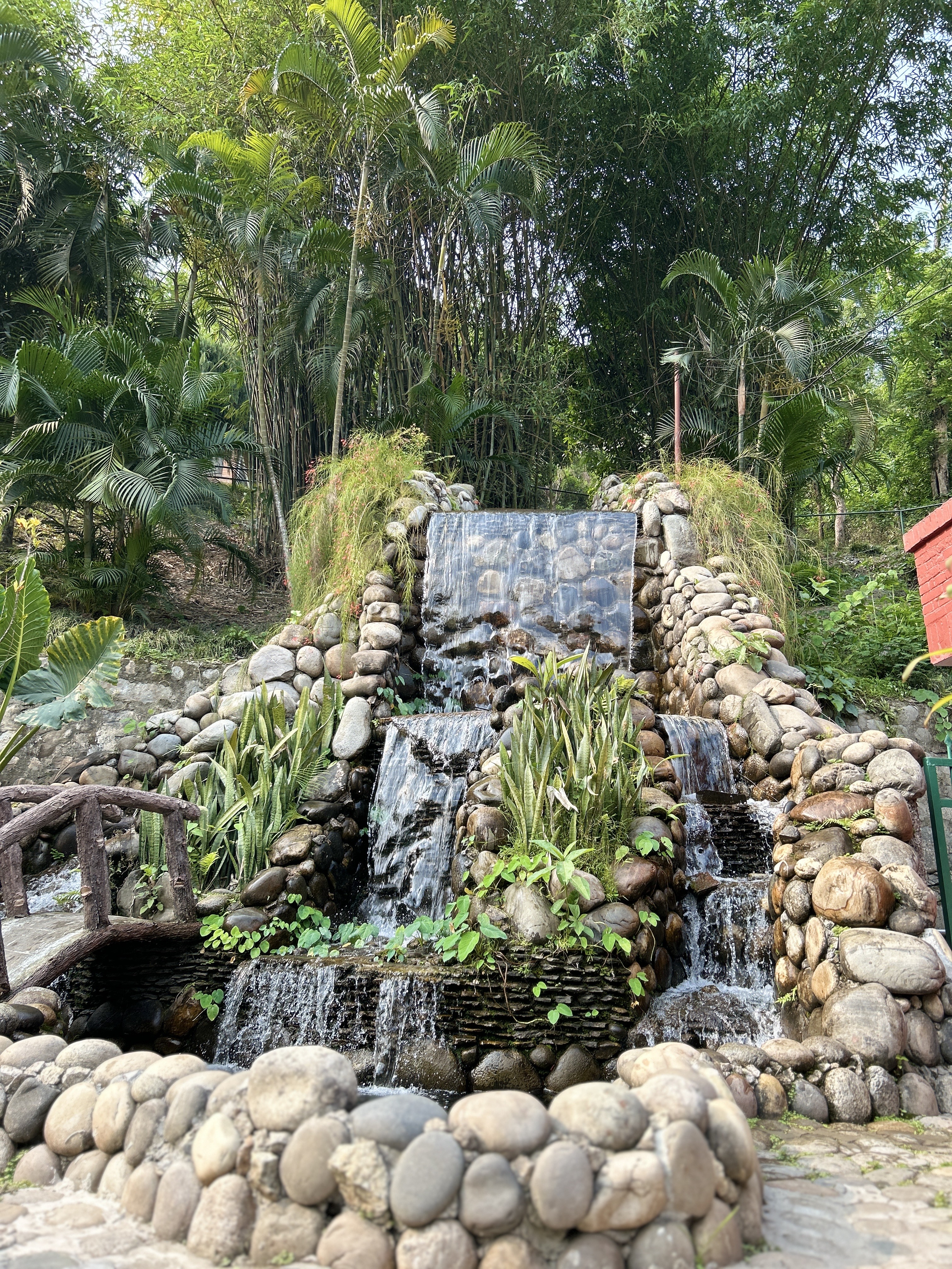 A serene waterfall cascades down a rock formation surrounded by lush greenery.