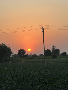 A serene sunset view, featuring a bright orange sun just above the horizon. In the foreground, green fields are visible, with lush vegetation and a telephone pole positioned to the right. Silhouettes of trees are scattered around, and the sky is painted in soft shades of orange and pink, creating a peaceful atmosphere.
