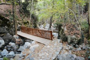 A picturesque wooden bridge gracefully arches over a rocky stream, nestled within the lush, green forest along the Caledonia Waterfall trail in Cyprus.