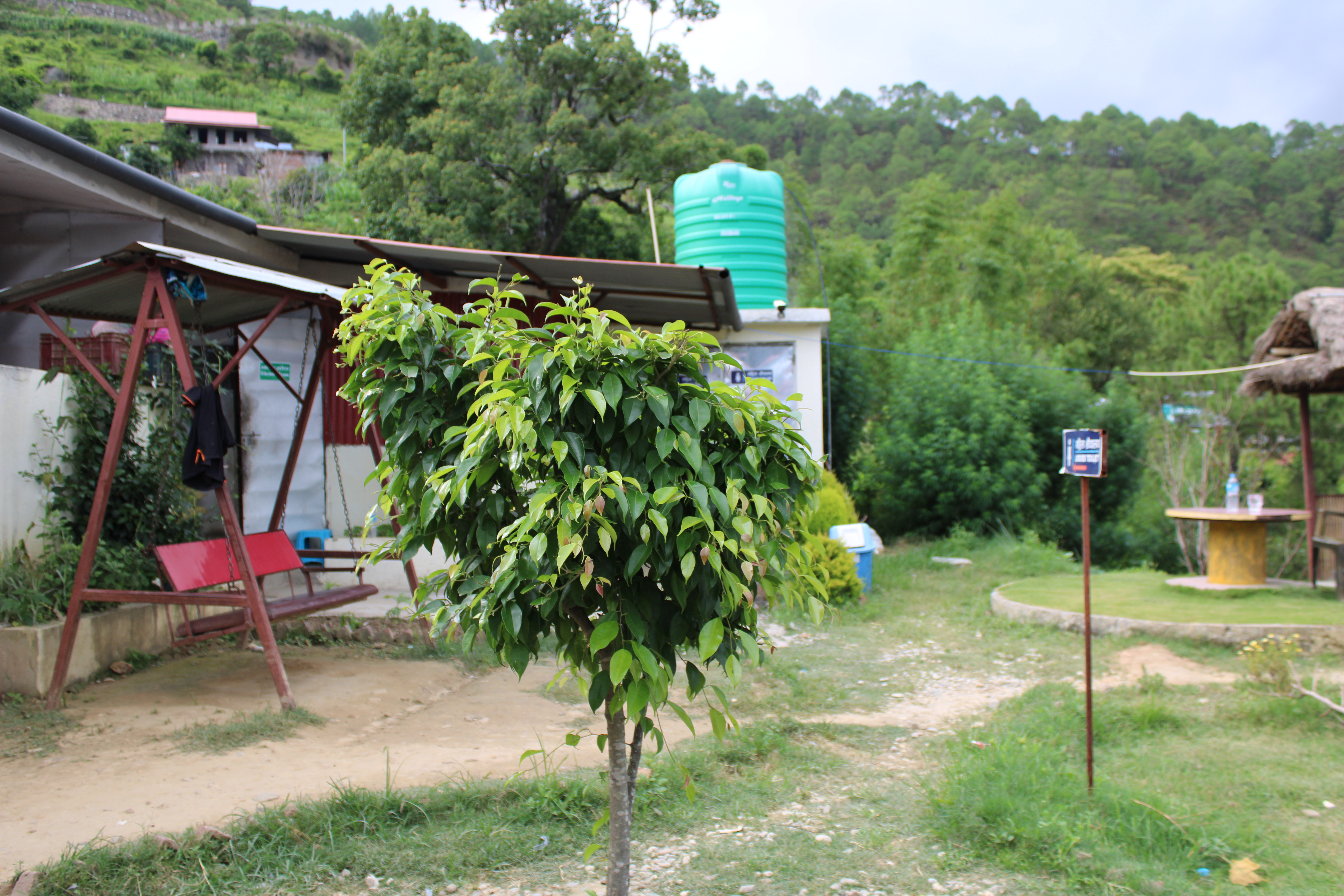 A small, leafy tree is situated in the foreground of a grassy area, with a red swing set and a building in the background. The building has a green water tank on its roof, and a signpost and a circular table with a bench can be seen to the right.