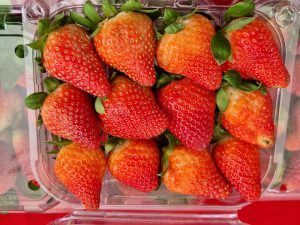 Ripe strawberries neatly arranged in a clear plastic container, captured in Ooty, Tamil Nadu.