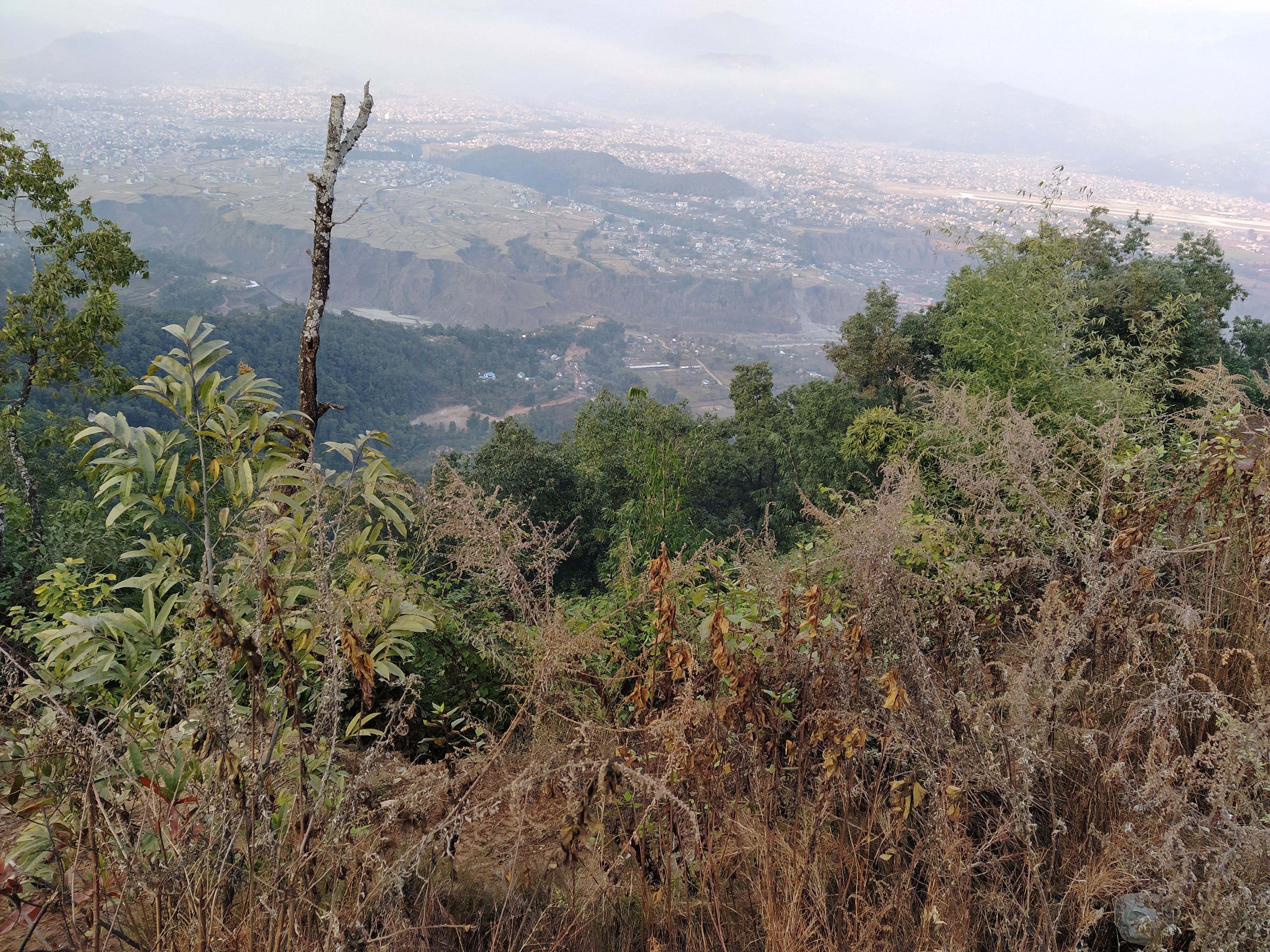 A panoramic view of a hilly landscape showcasing a mixture of green and dried vegetation in the foreground, with a distant urban area nestled in a valley below.