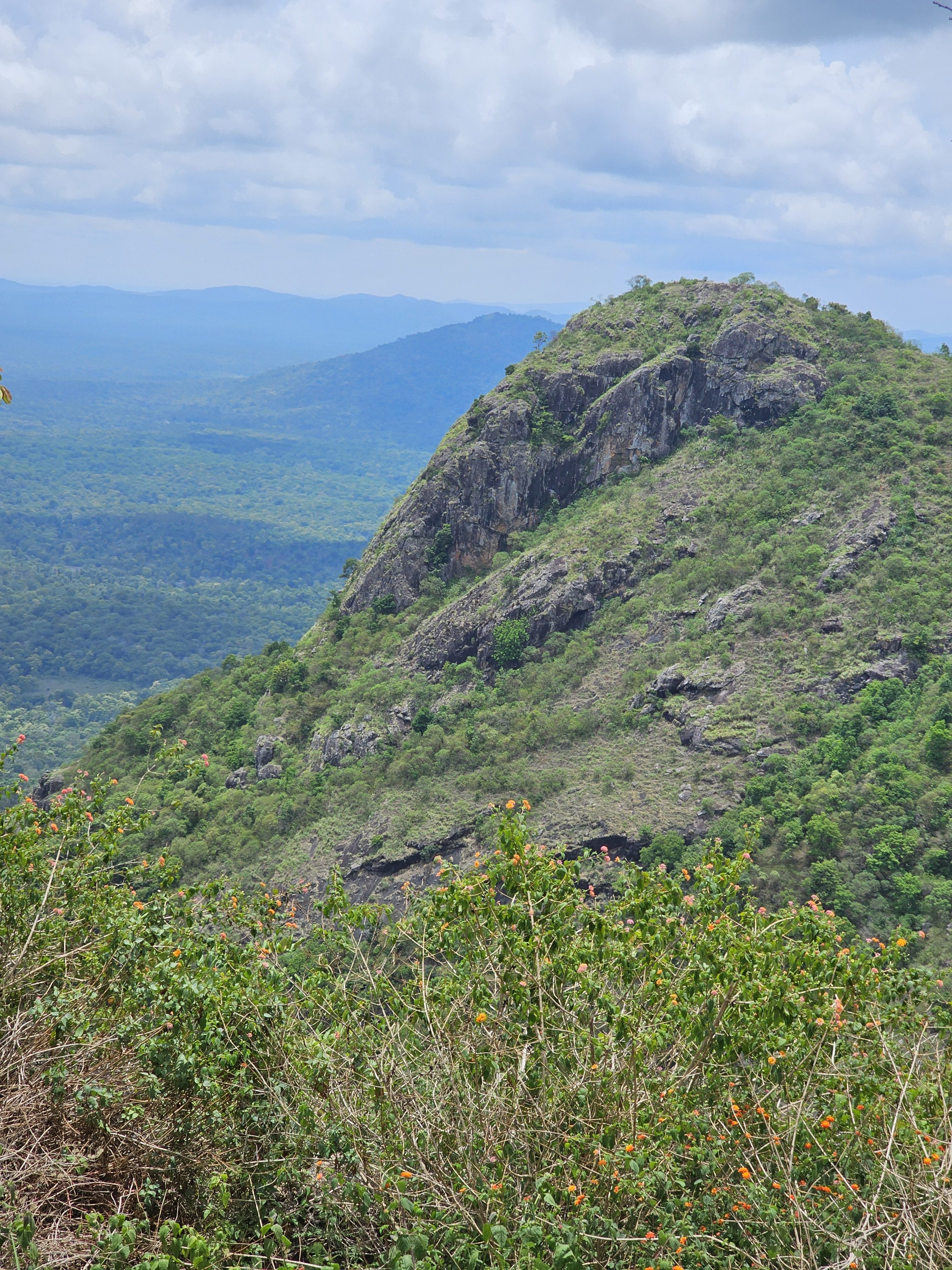 A scenic view of a rocky mountain peak covered in green vegetation, with layers of hills and valleys stretching into the background under a cloudy sky. The photo was taken at Needle Rock View Point, Gudalur, Nilgiris.