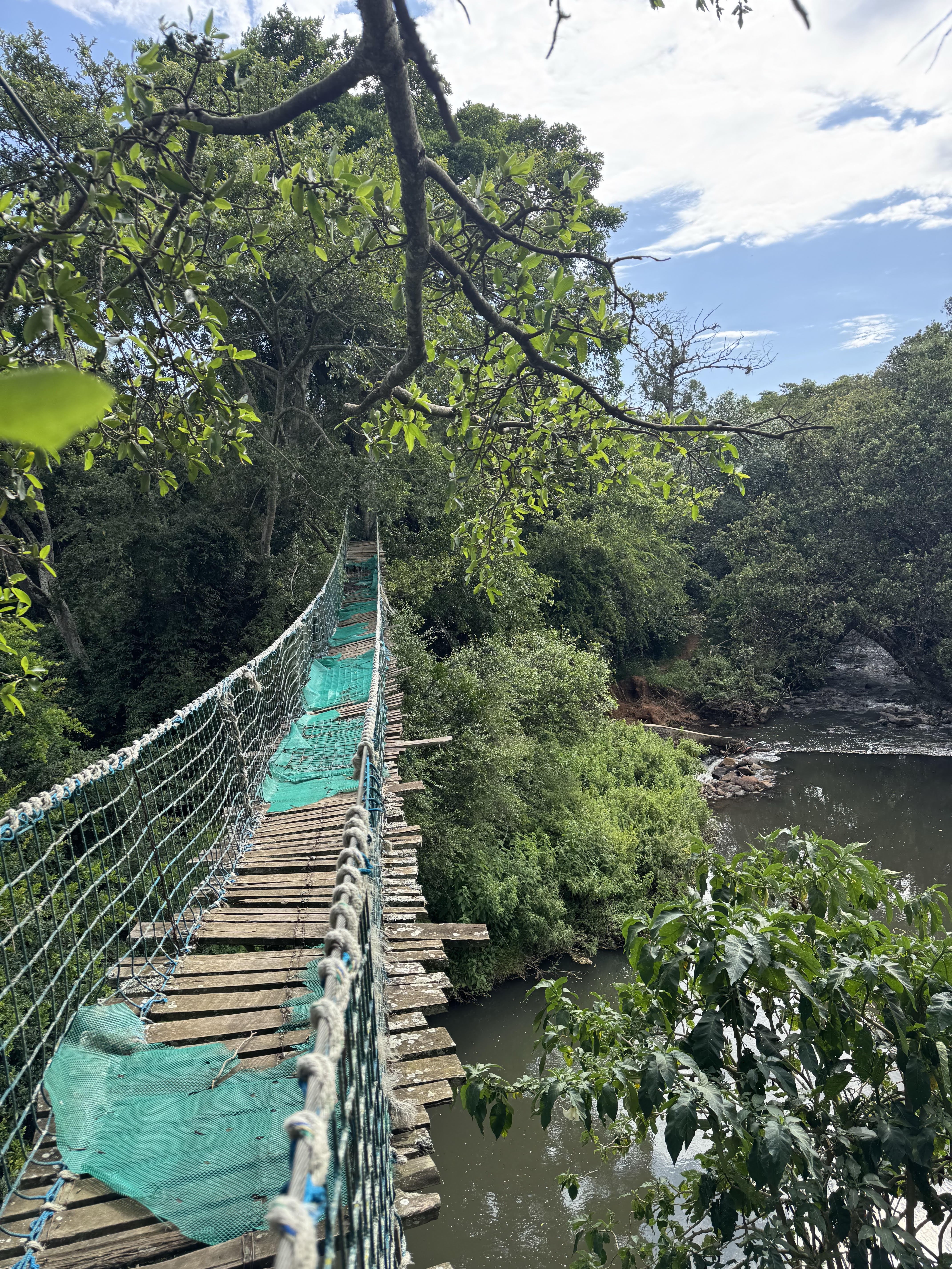 A rope and wooden plank bridge over a river in a lush forest.