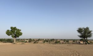 A dry landscape with gentle sand dunes stretching across the foreground, featuring sparse vegetation and two green trees on the left and right sides. 