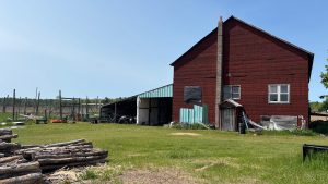 An old red barn on the right side of the photo. It has a very tall chimney on the outside of the barn. To the left some lean-tos built against the barn, and the left side of the photo is open clear sky. In the foreground some logs.