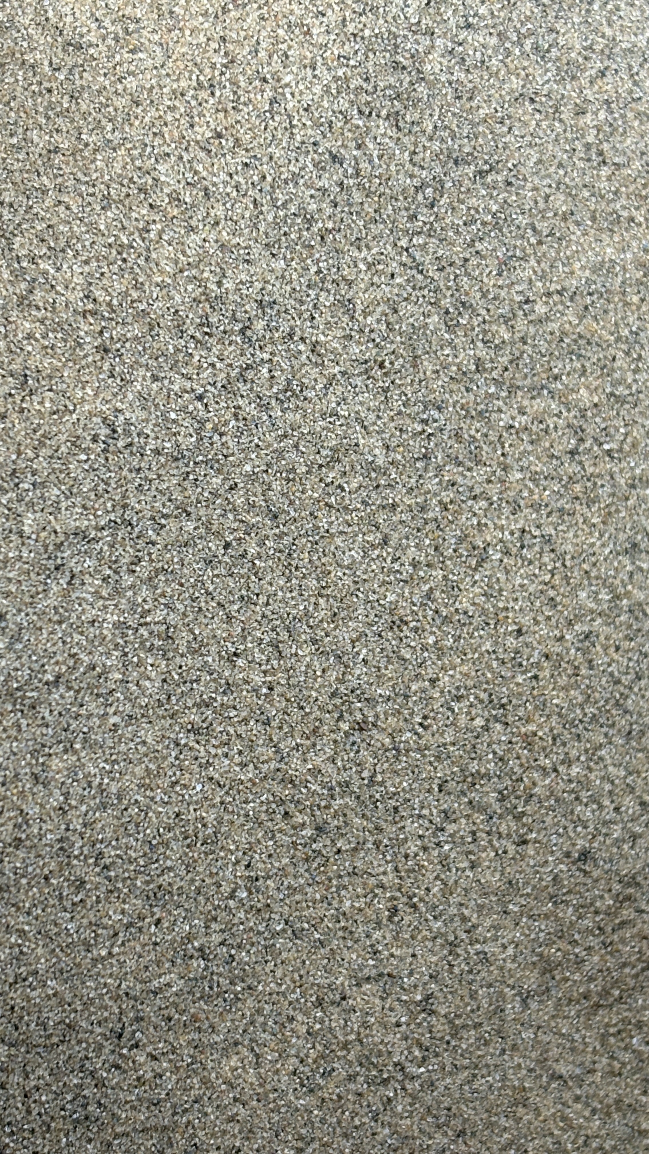A close-up view of fine, light brown sand with small grains and a slightly textured surface.