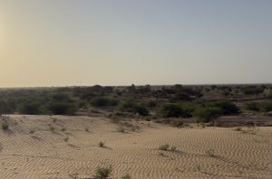 A panoramic view of a sandy landscape with gentle dunes in the foreground, featuring wavy patterns on the sand. 