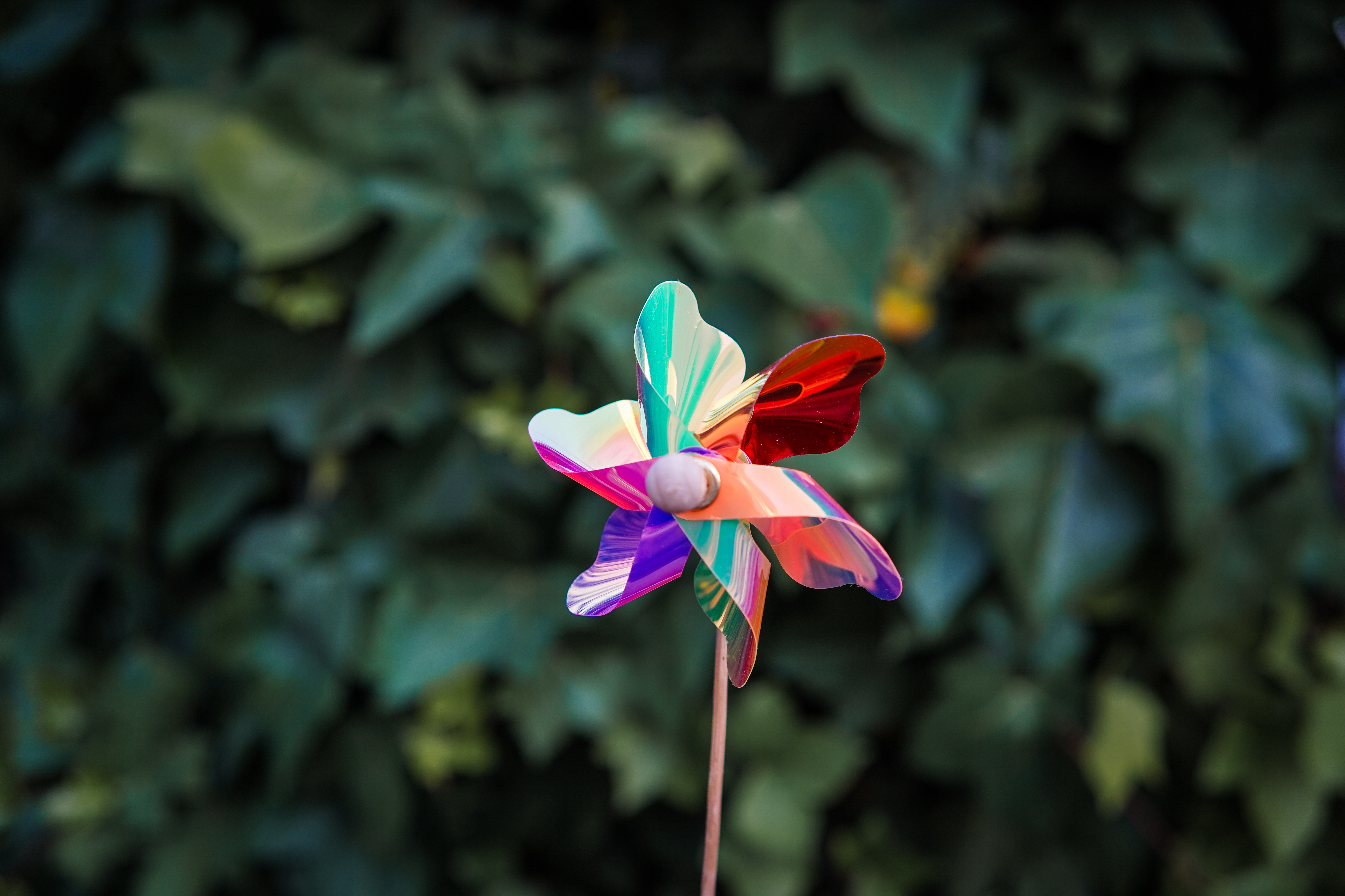 A colorful pinwheel with a variety of shades including red, purple, blue, and green, mounted on a wooden stick, held against a blurred green foliage background.