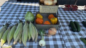A table with various vegetables arrayed for sale.