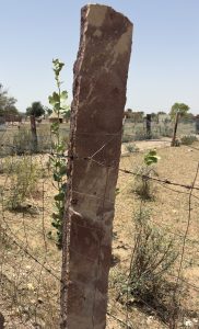 A tall, vertical stone post is partially covered in reddish-brown surface textures, standing beside a barbed wire fence. 