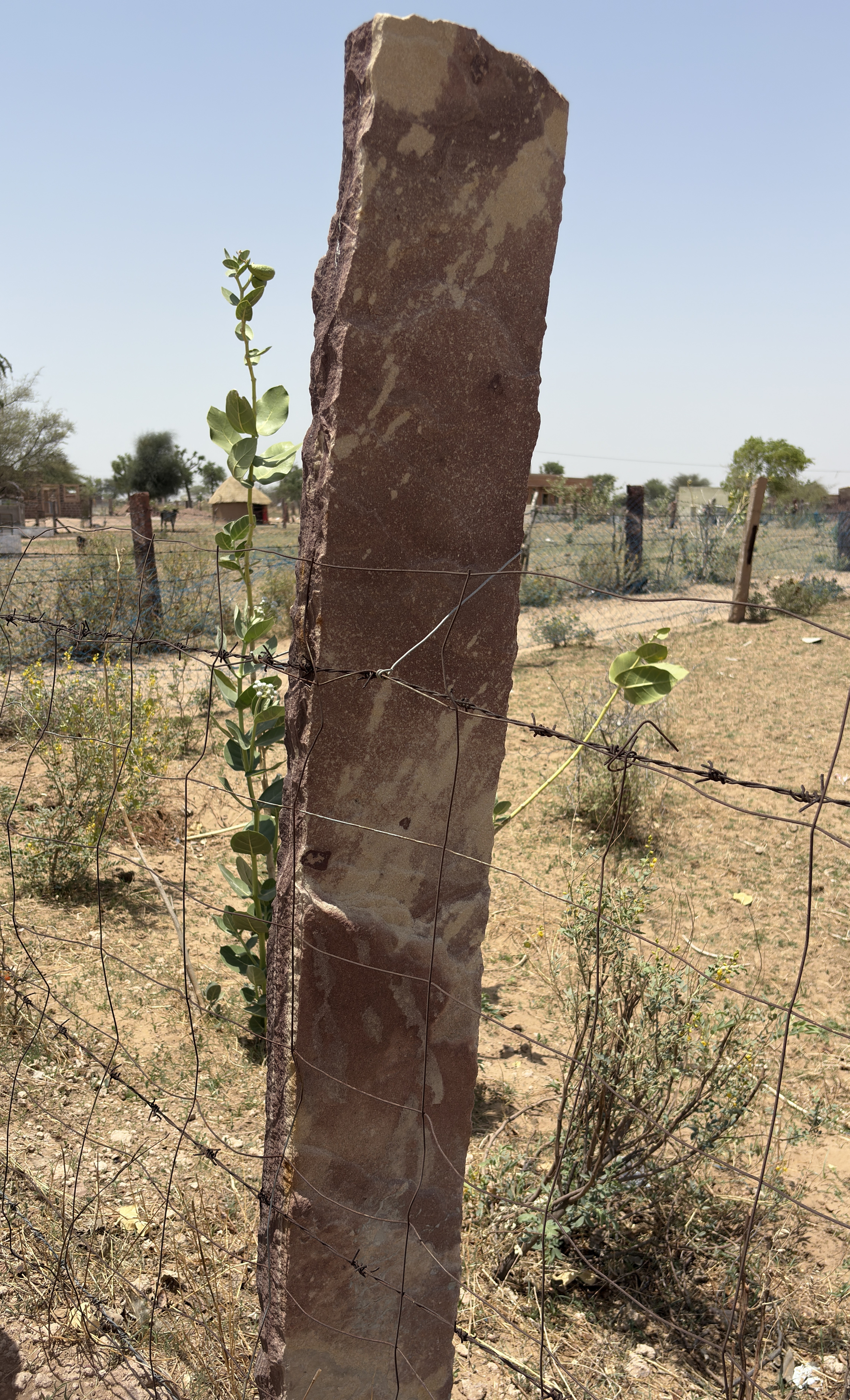 A tall, vertical stone post is partially covered in reddish-brown surface textures, standing beside a barbed wire fence.