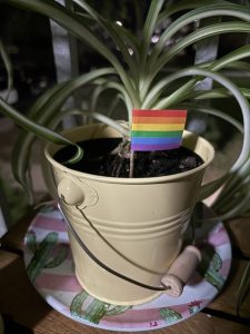 A small rainbow flag on a toothpick stuck in a plant in a yellow pail on a cactus plate at night. 