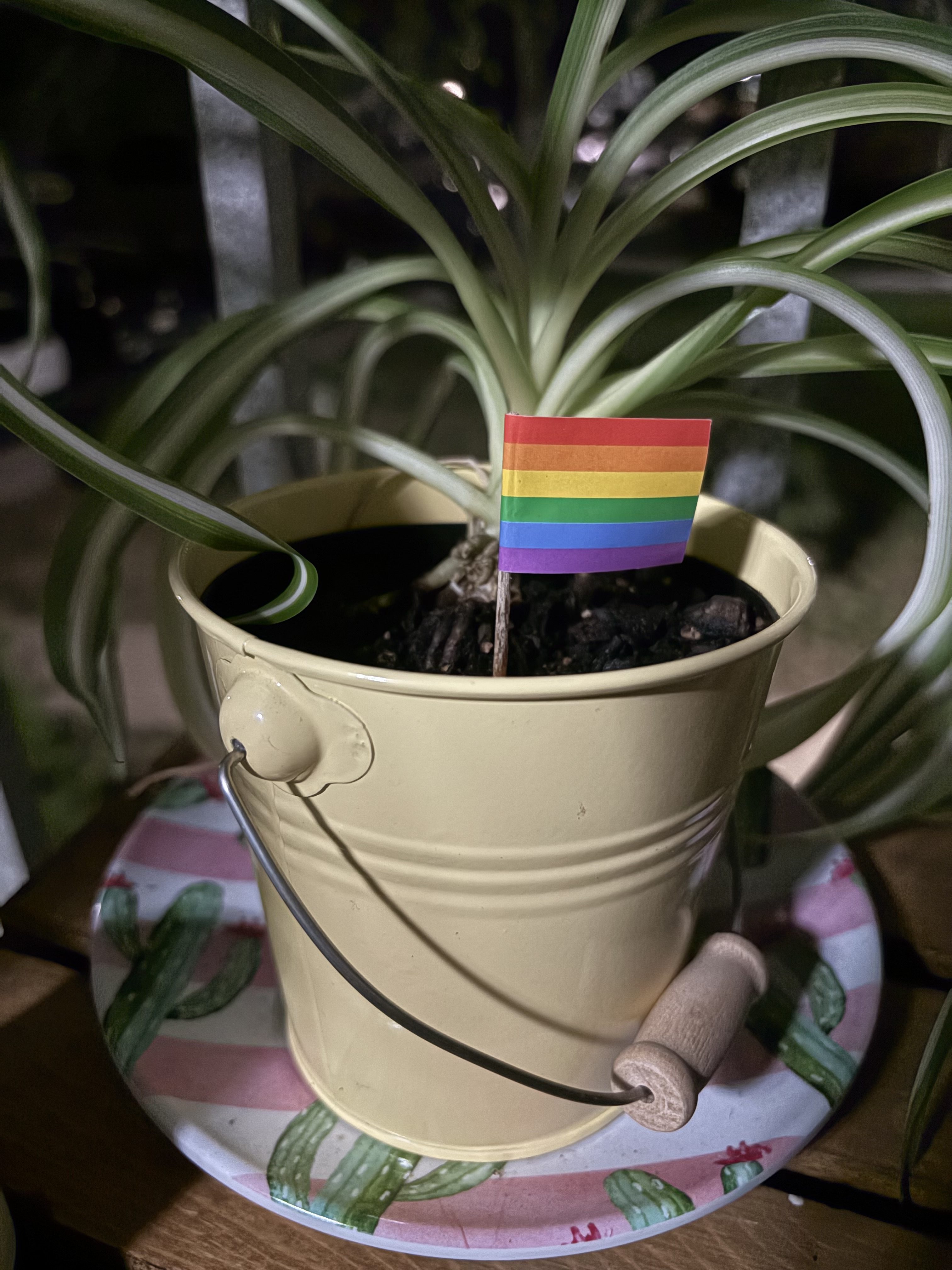 A small rainbow flag on a toothpick stuck in a plant in a yellow pail on a cactus plate at night.
