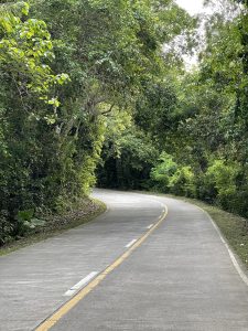 Winding road in a forested setting near Licoan, Maria, Siquijor