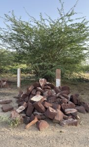 A pile of reddish-brown stones is situated on sandy ground, next to a small green shrub.