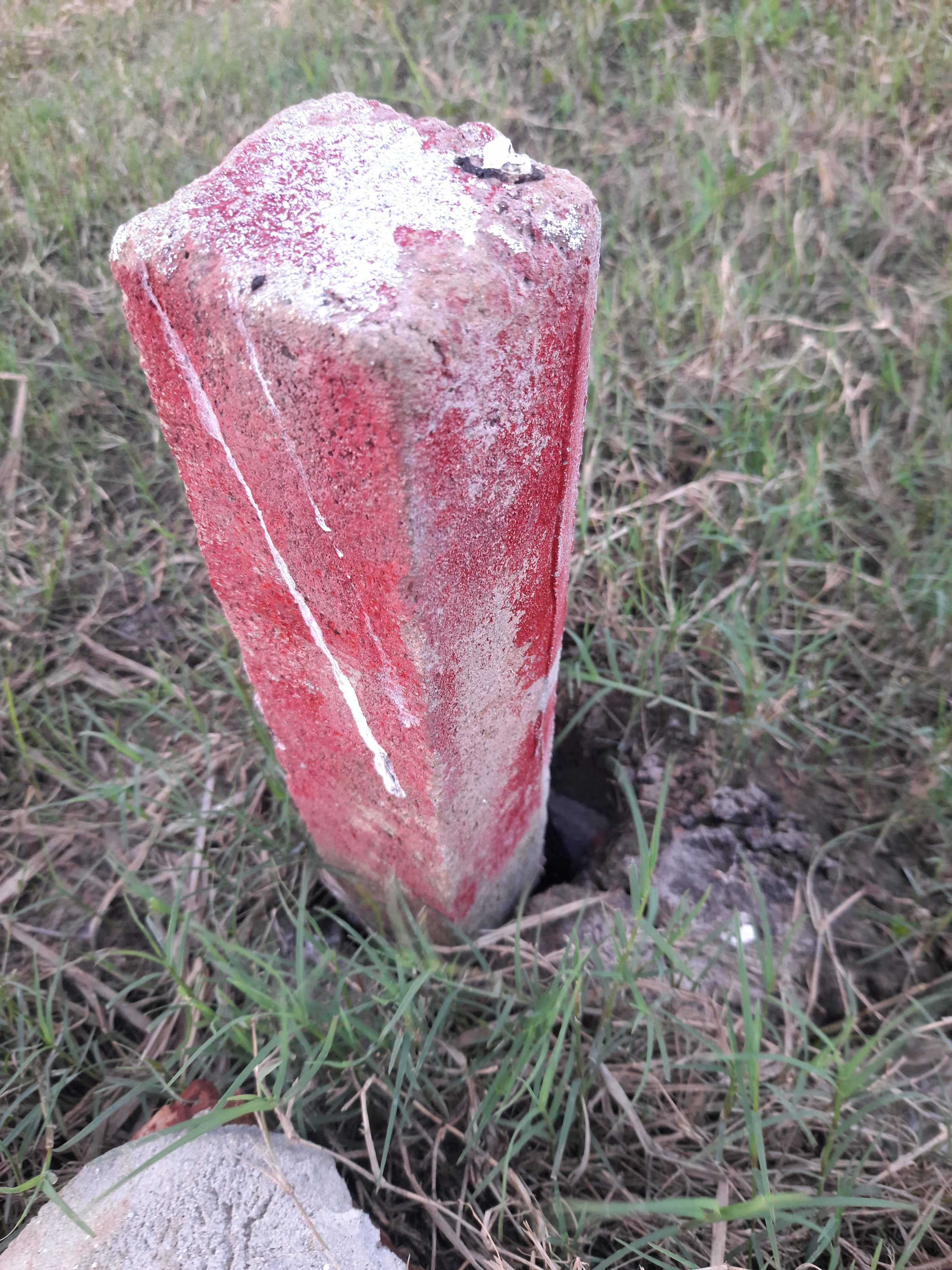 A red pillar standing upright outdoors, surrounded by greenery and pavement.