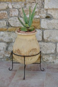 A large terracotta pot with aloe vera on a black stand rests against a stone wall. Captured in Larnaca, Cyprus.