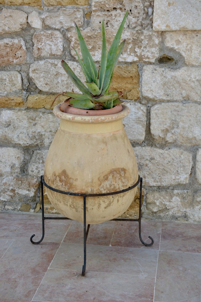 A large terracotta pot with aloe vera on a black stand rests against a stone wall. Captured in Larnaca, Cyprus.