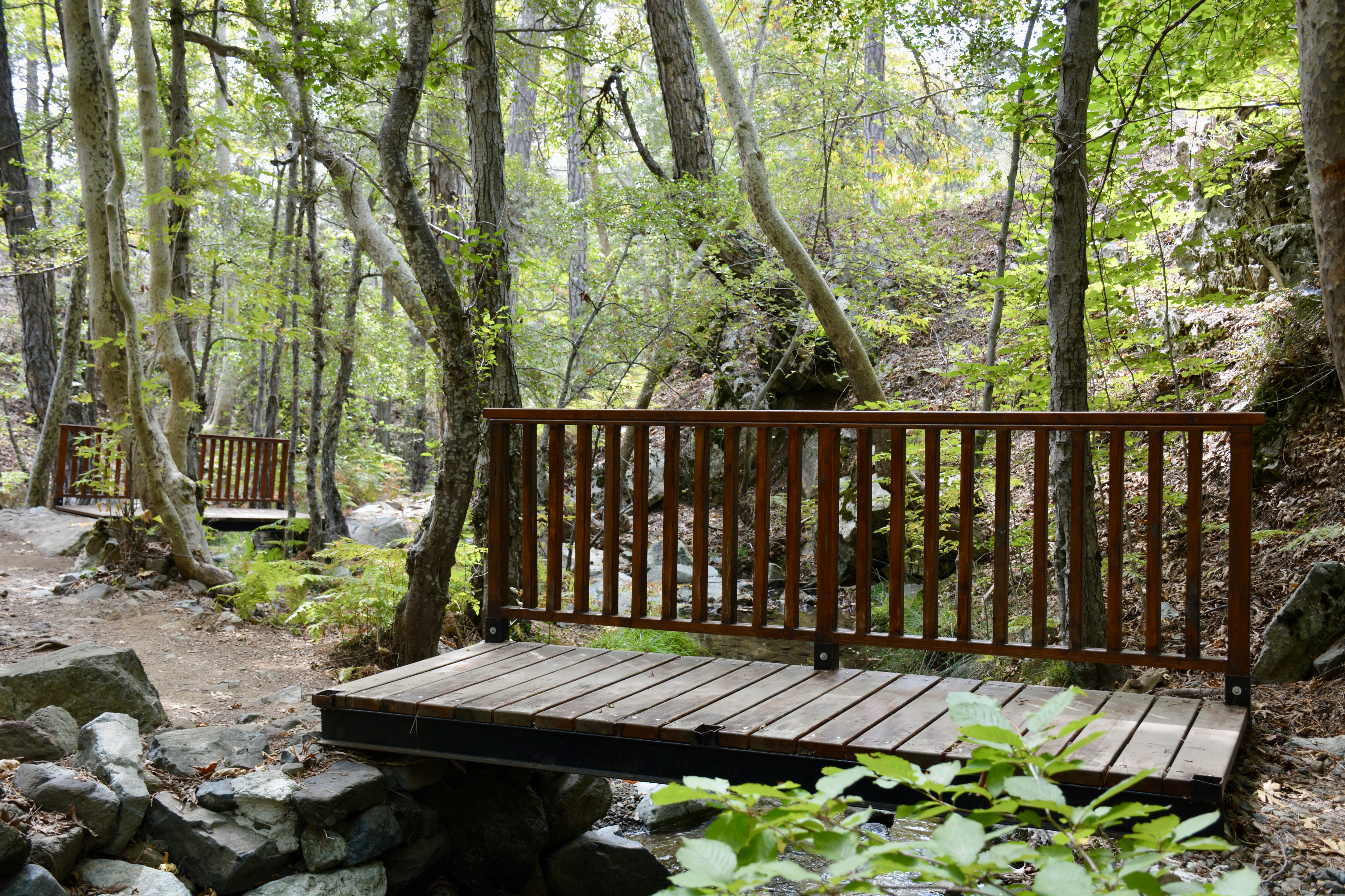 A peaceful forest with a small wooden bridge over a stream or dry creek. Green trees and plants surround it, and another bridge can be seen in the background. From Cyprus’s Troodos Mountains.