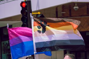 Two flags wave during a Pride parade: the pink, purple, and blue bisexual pride flag, and the bear pride flag with a paw print on stripes of brown, orange, yellow, white, and black. A red traffic light and city buildings appear in the background. 