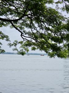 A serene view of the Chaliyar River as seen from Chaliyam, Kozhikode, Kerala. The calm waters reflect the soft light of the day, framed by lush green trees along the banks. Two traditional houseboats drift gently, adding a touch of Kerala’s charm to the peaceful riverscape.