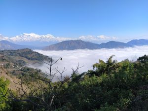 A panoramic view of a mountainous landscape featuring snow-capped peaks in the background, with a clear blue sky above. In the foreground, there are green hills dotted with trees and some patches of vegetation. A thick layer of white clouds blankets the valley below, creating a striking contrast against the greenery and mountains. 