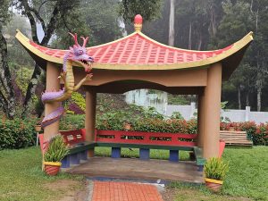 A vibrant Chinese-style pavilion with a dragon statue, set amidst lush greenery. The pavilion features a red roof and benches, creating a peaceful and colourful scene. Captured from the Government Botanical Garden, Ooty, Tamil Nadu.
