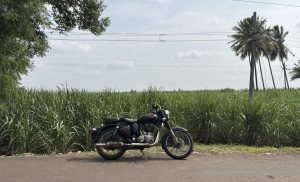 A Royal Enfield motorcycle parked on a rural roadside next to a lush green sugarcane field, with tall palm trees and electric wires in the background under a partly cloudy sky.
