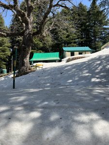 A snowy landscape featuring a large, bare tree in the foreground, with two structures having green roofs in the background.
