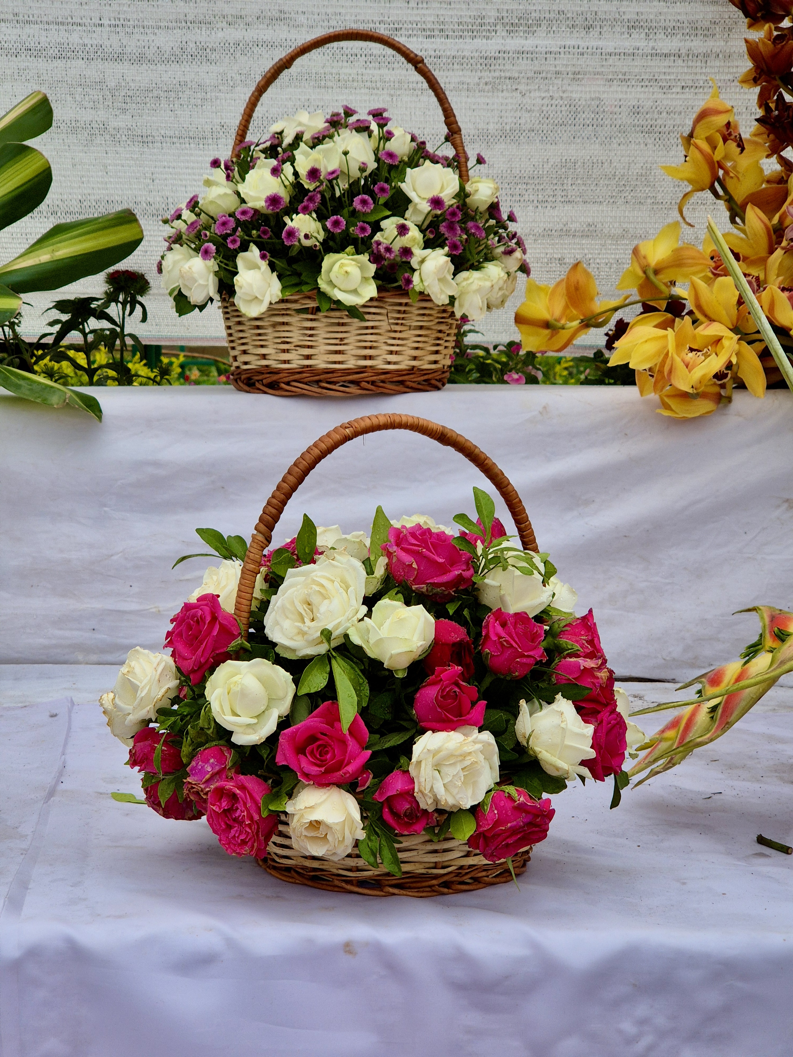 Two woven baskets filled with flowers, likely roses. The top basket contains white and purple roses, while the bottom one has a mix of white and pink roses. Captured from the Government Botanical Garden, Ooty, Tamil Nadu.