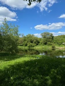 A tranquil riverside scene featuring lush green grass dotted with dandelions, set against a backdrop of dense trees and a clear, blue sky with scattered white clouds.