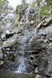 Caledonia Waterfalls in the Troodos Mountains cascade down a rocky cliff into a clear, tranquil pool surrounded by greenery.