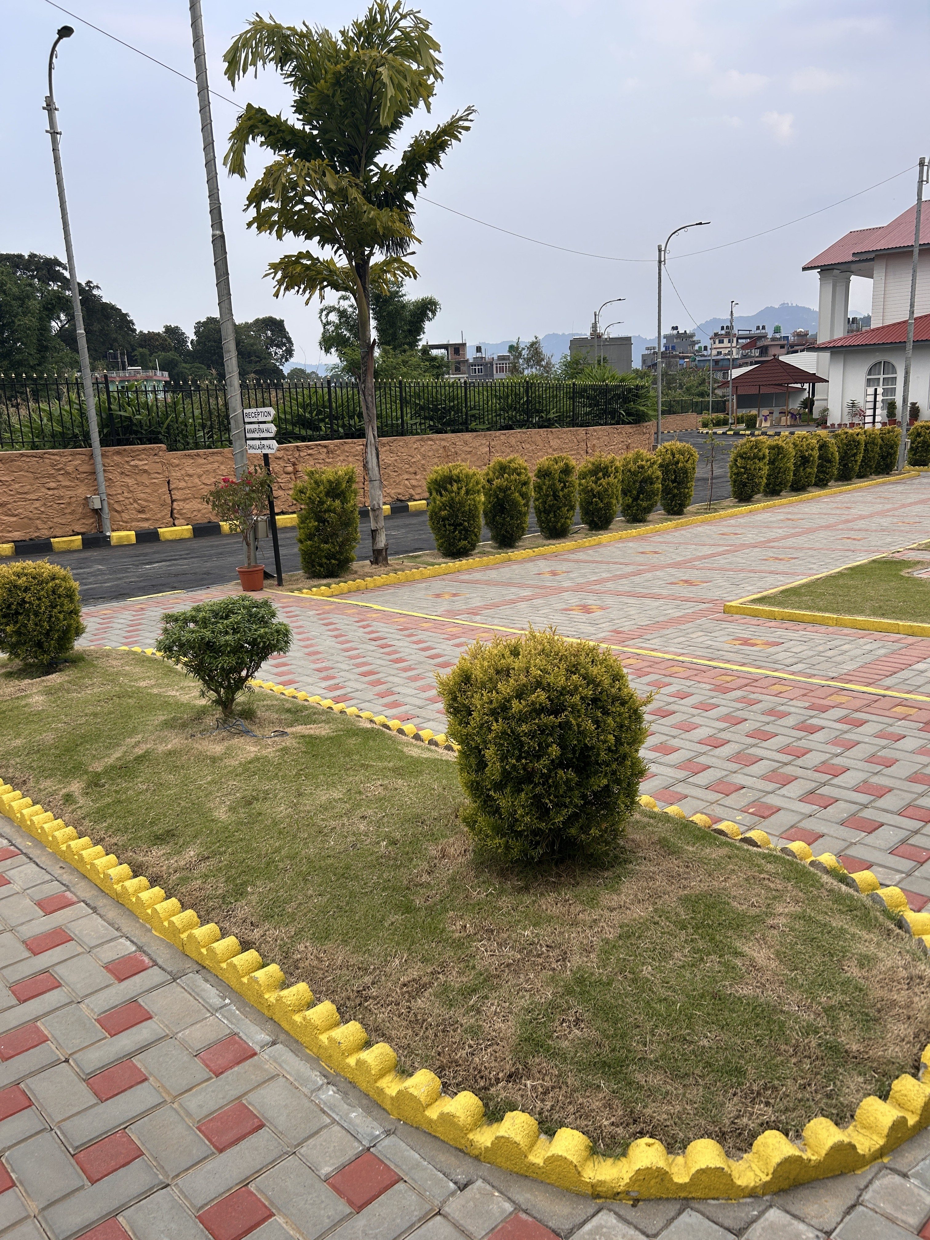 A landscaped area featuring neatly arranged patches of grass and small bushes.