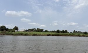 A serene river scene showing a calm water surface with gentle ripples.