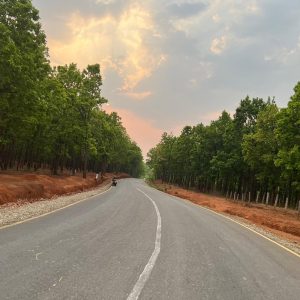 A winding road stretches through a lush green landscape, flanked by trees on both sides.