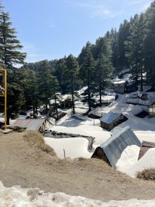 A serene hillside village blanketed in snow, nestled among dense pine forests beneath a clear blue sky.
