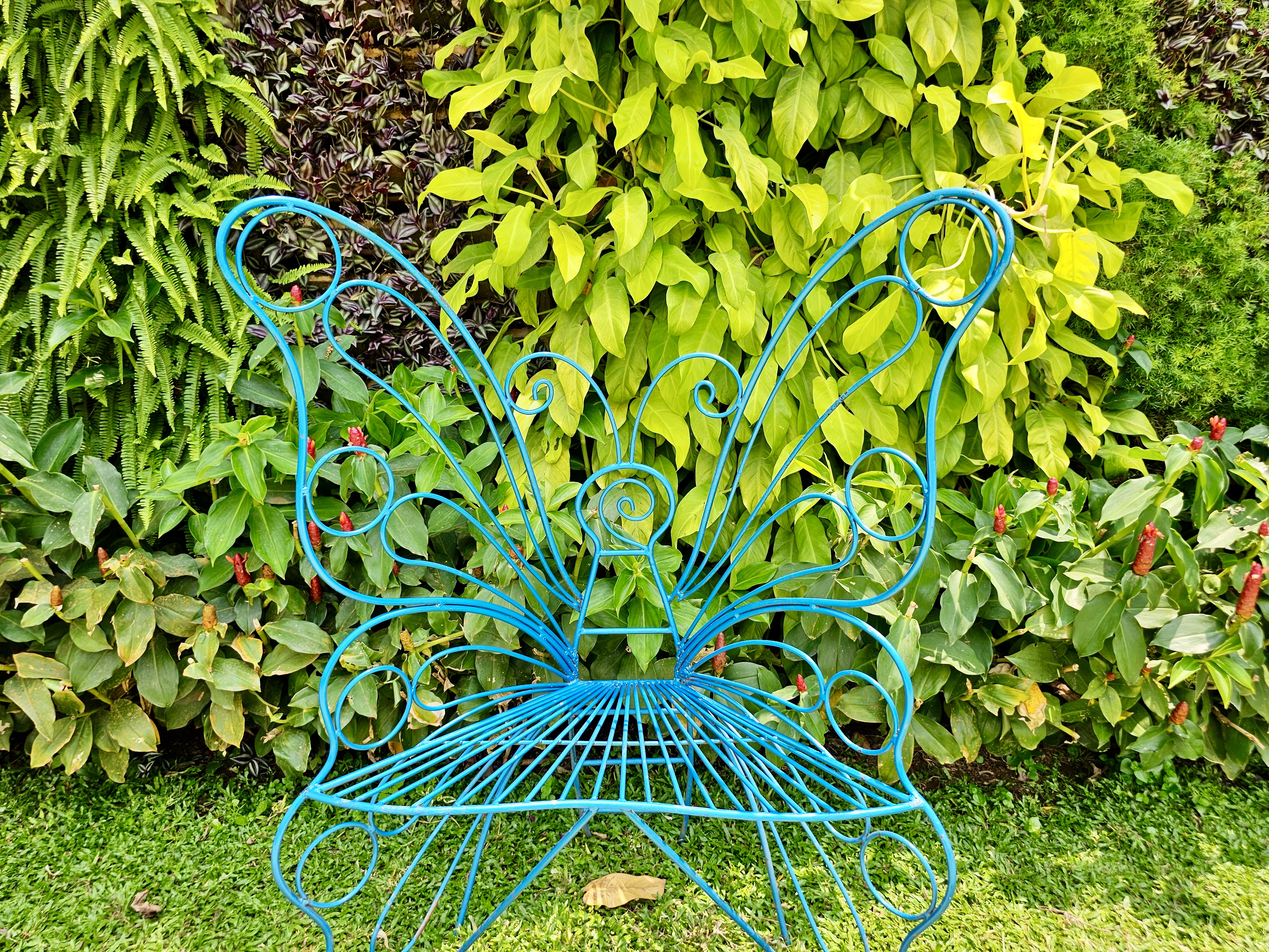 A blue butterfly-shaped metal chair set against lush green foliage in Kuttiady, Kozhikode.