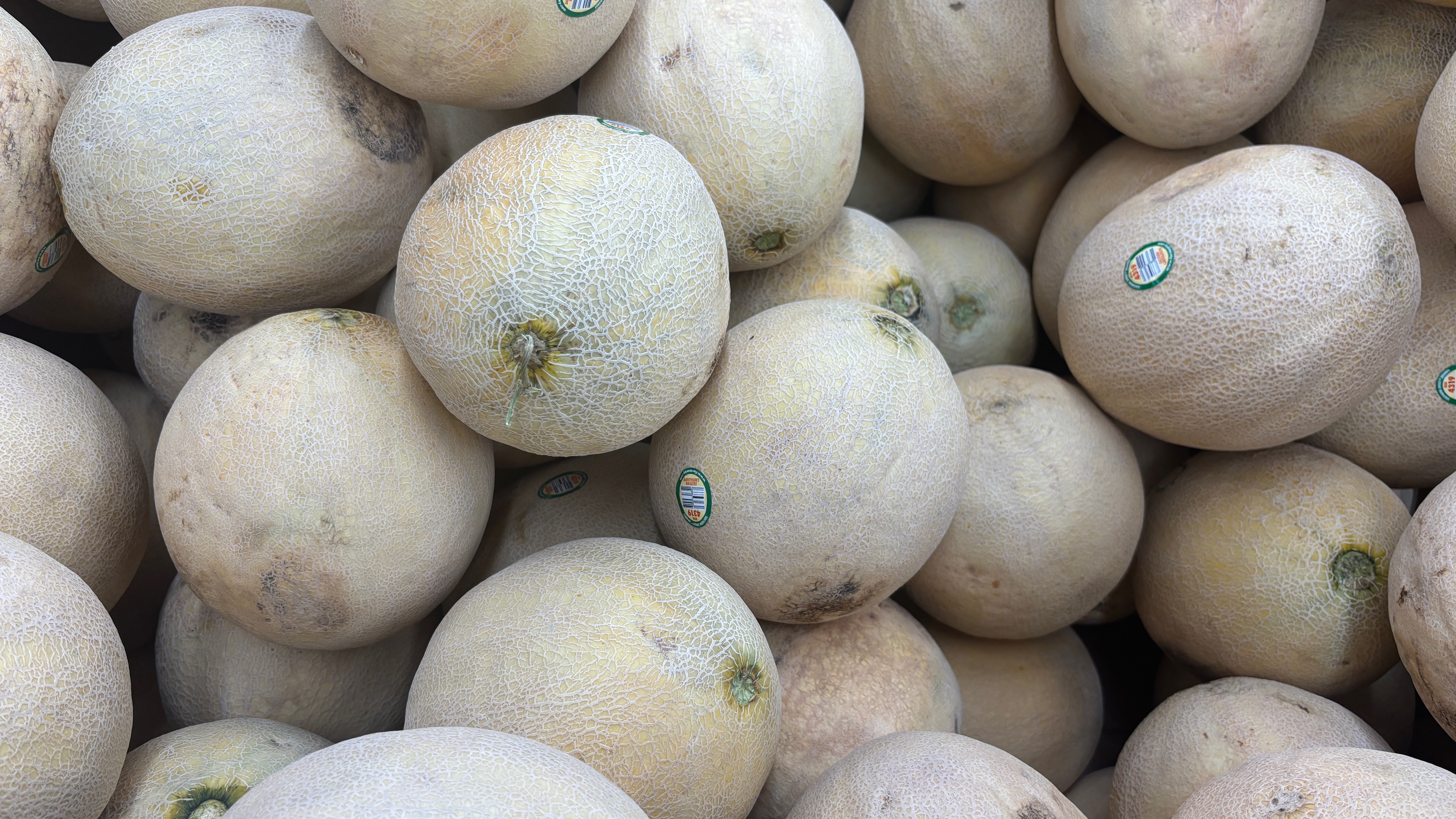 Cantaloupe's in a box to be sold.