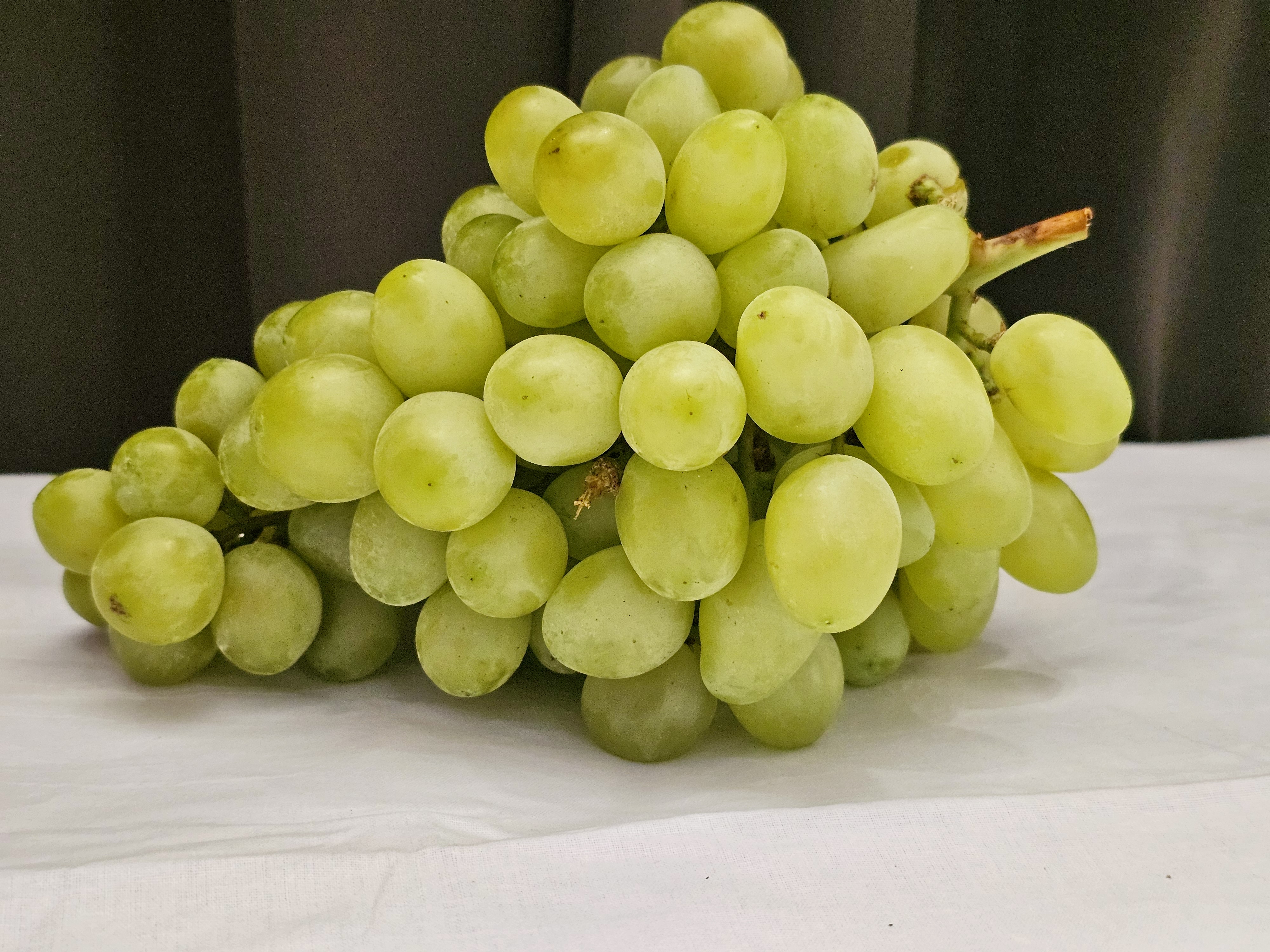 A close-up shot shows a vibrant bunch of fresh green grapes resting on a white surface against a dark, blurred background. It was captured in Kozhikode, Kerala.