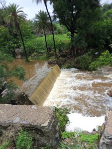 Water is flowing in canal, lots of green tree in background.
