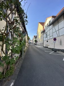 A peaceful, narrow street lined with traditional half-timbered and stone houses, gently sloping uphill under a bright blue sky in a quaint European village.