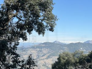 A panoramic view of mountainous terrain under a clear blue sky, framed by dark green leaves from a tree in the foreground. .

