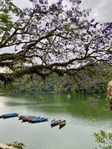 A tranquil lakeside scene featuring vibrant green water reflecting the surrounding nature