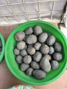 A green bowl filled with numerous smooth, oval-shaped black stones.