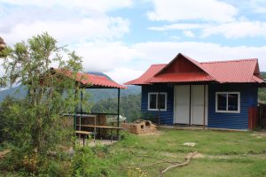 A small blue house with a red corrugated metal roof stands beside a gazebo with a matching red roof. The gazebo has a wooden railing and is situated in a grassy area with some scattered wildflowers.