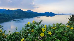 A calm river reflects the surrounding mountains under a soft, cloudy sky. In the foreground, vibrant yellow flowers bloom among lush green foliage, adding color to the serene landscape.
