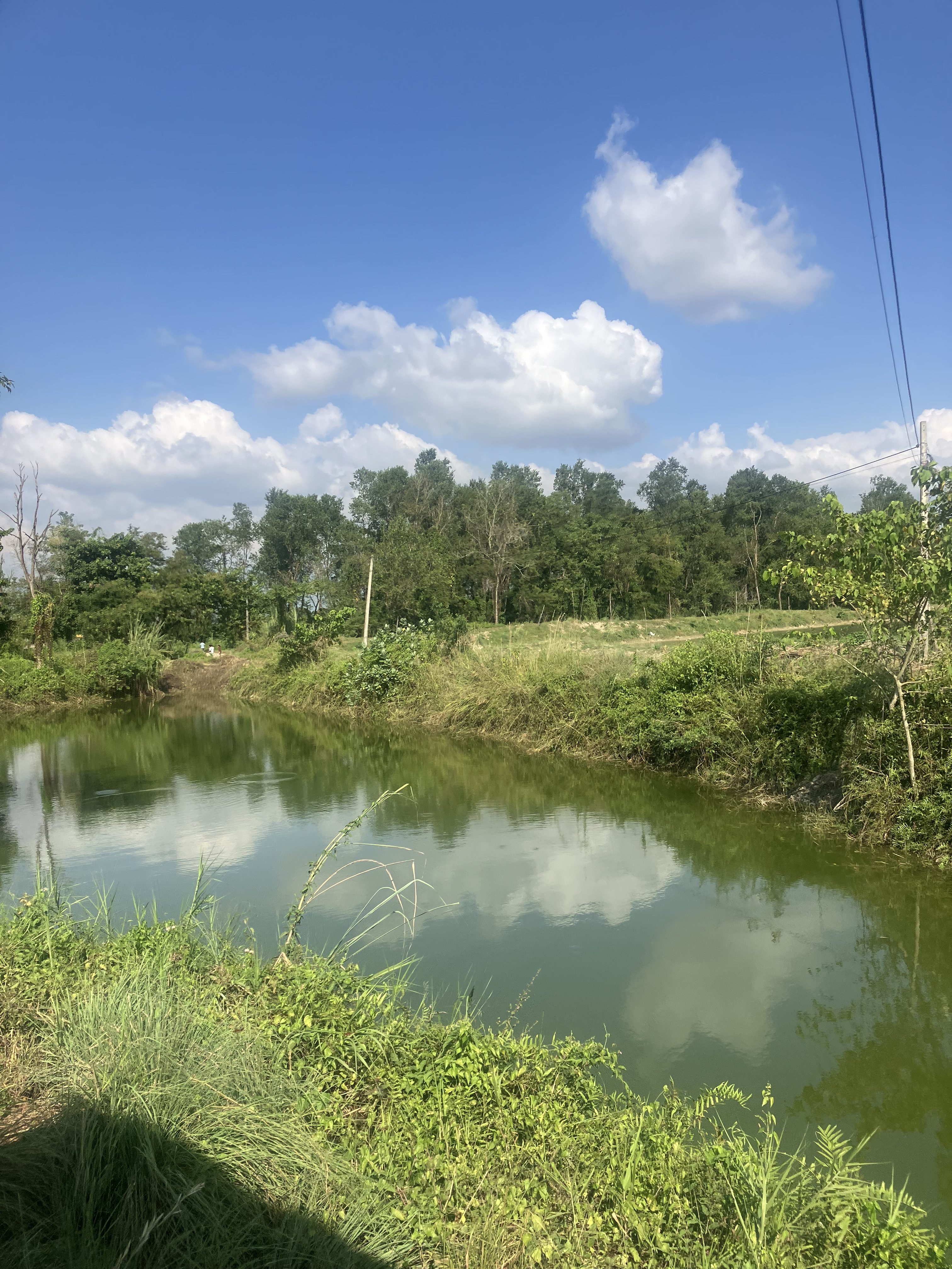 A tranquil scene depicting a calm, greenish river reflecting the blue sky and fluffy white clouds above.