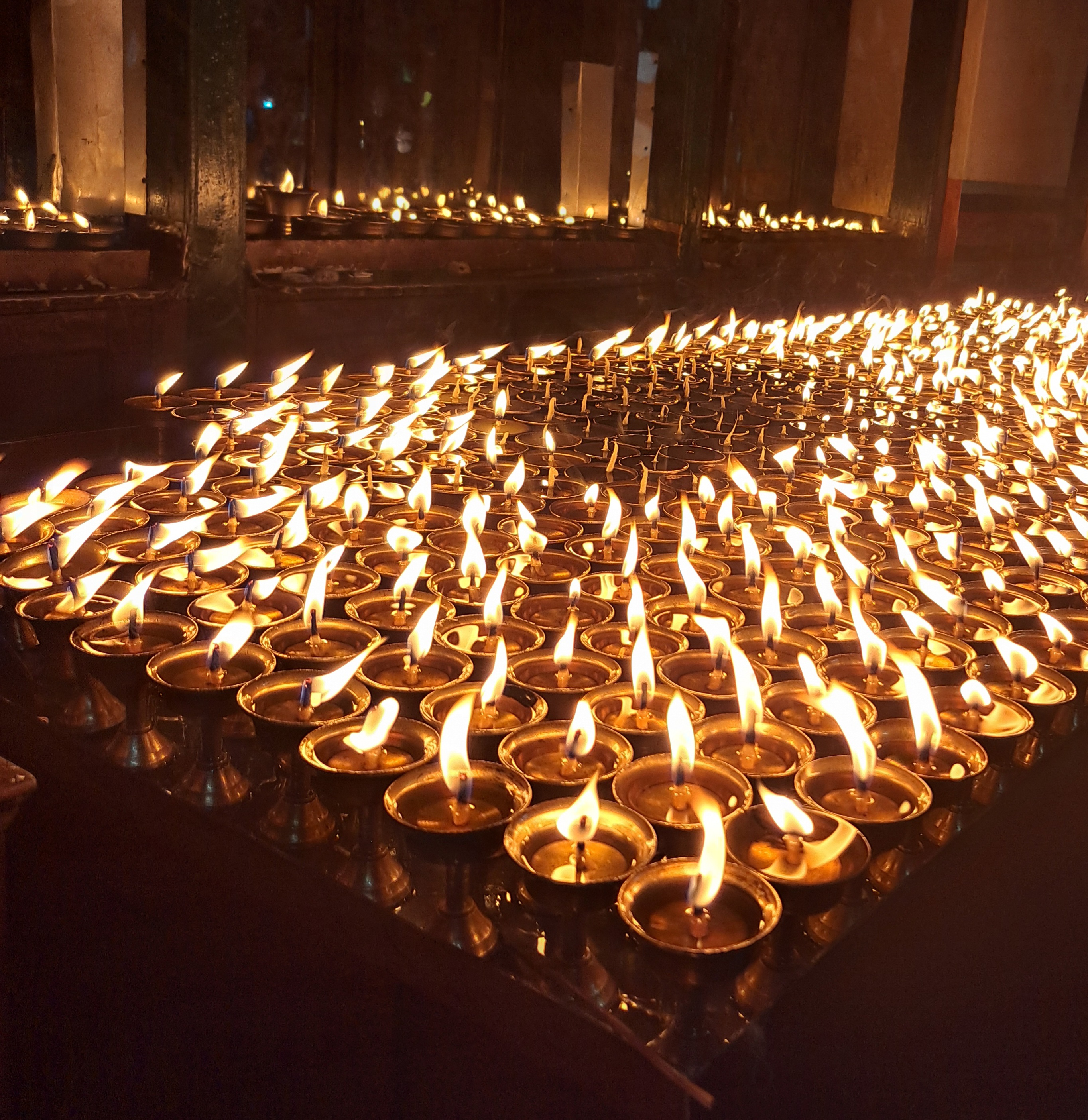 A serene display of butter lamps lit in prayer, symbolizing peace and spiritual devotion.