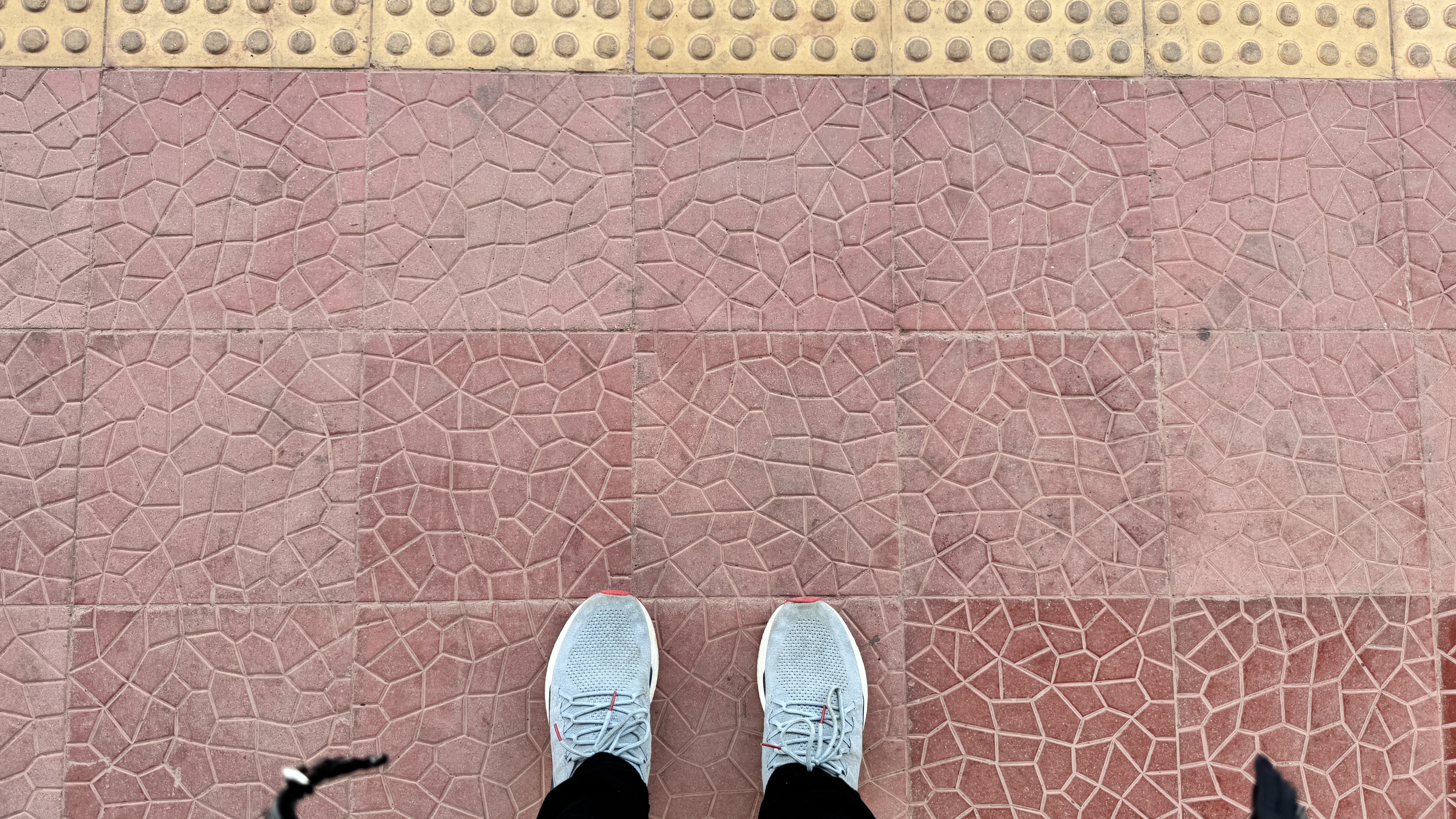 A pair of gray athletic shoes are positioned on a textured pink pavement, which features a crackled pattern.